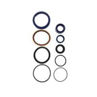 Tele Ram Seal Kit Complete